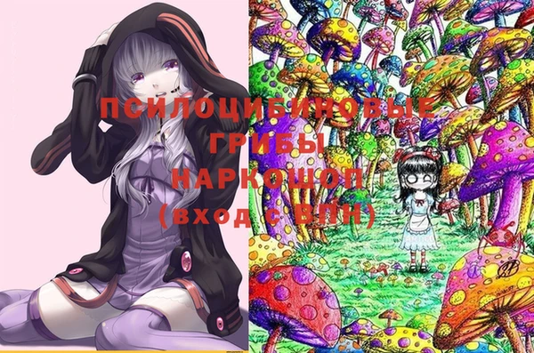 герыч Вязники