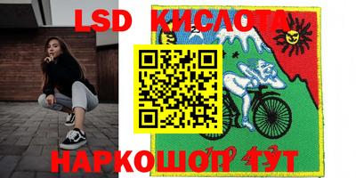 гидра Славгород