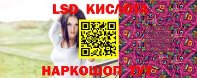 гидра Славгород